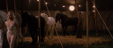 RWA0048.PNG